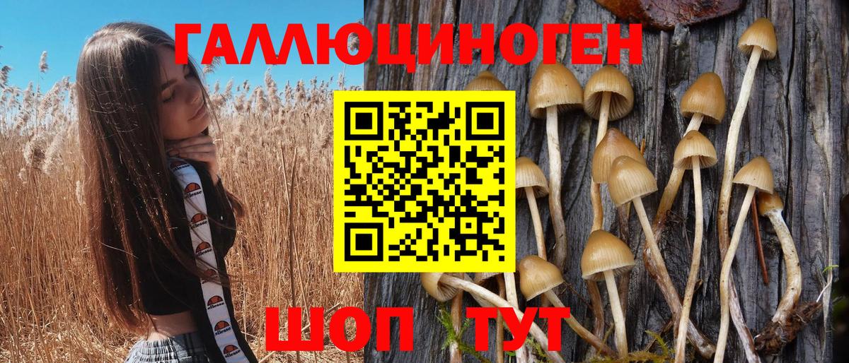 Лиски  Псилоцибиновые грибы MAGIC MUSHROOMS  Вход с VPN  как найти наркотики  Галлюциногенные грибы ЛСД 